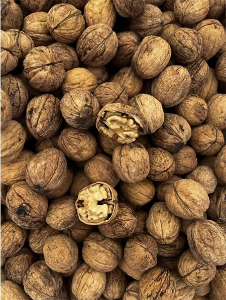 Walnut Peptides